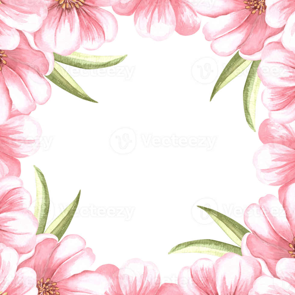 Almond pink flowers with leaves watercolot square frame isolated. Floral template with copy space from spring sakura, cherry blossom. Illustration of spring blooming fruit in botanical sketch style. png