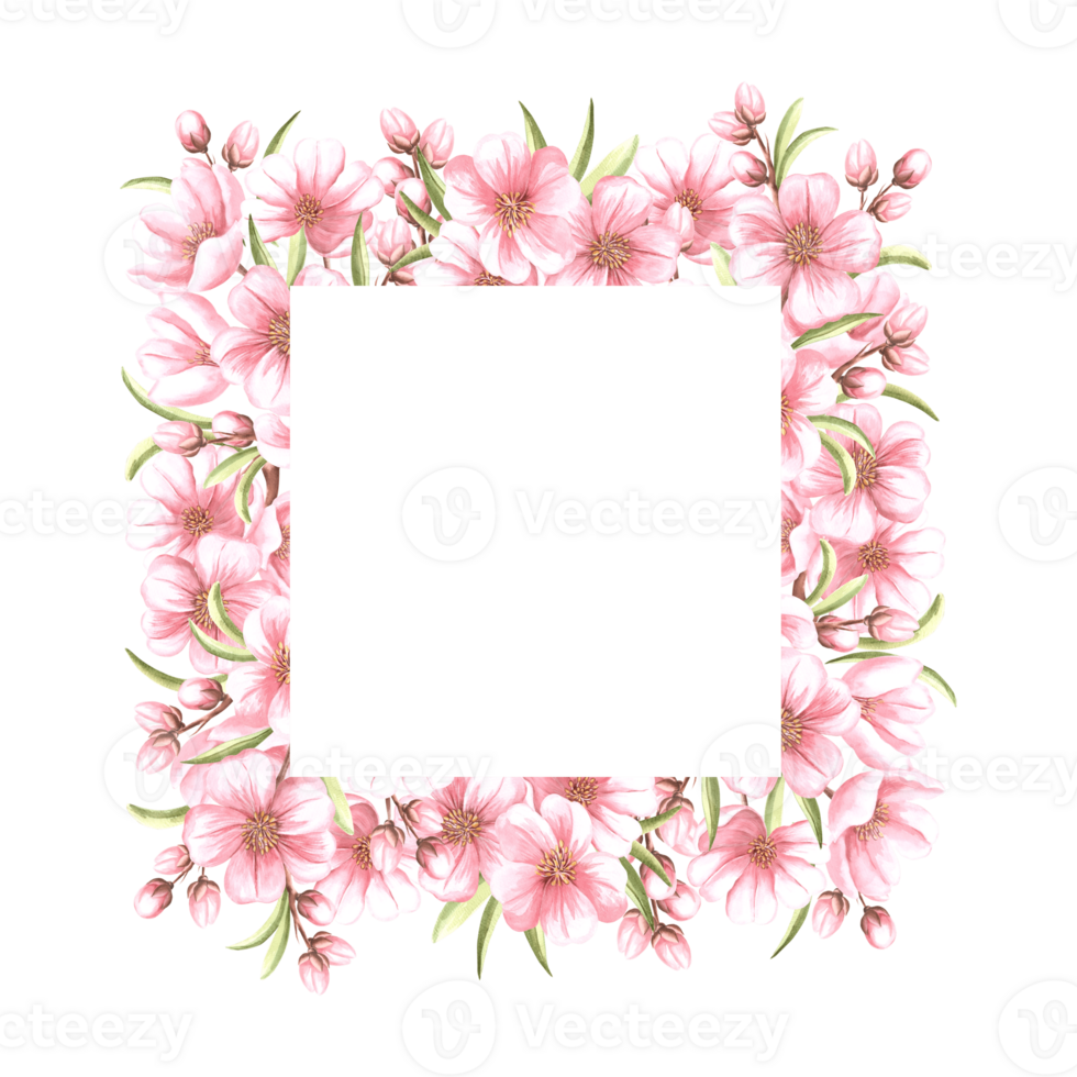 Almond pink flowers with leaves and buds watercolor square frame isolated. Floral template with copy space from spring sakura, cherry blossom. Illustration of spring blooming fruit in sketch style. png