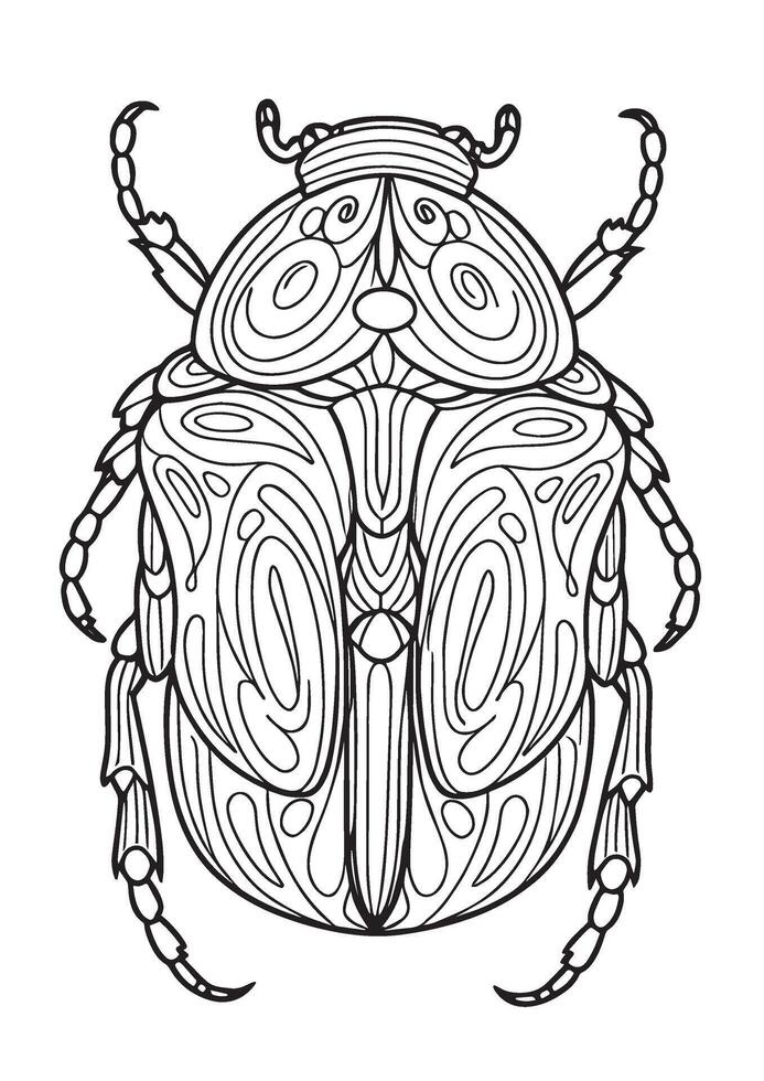 A coloring page with a beetle vector