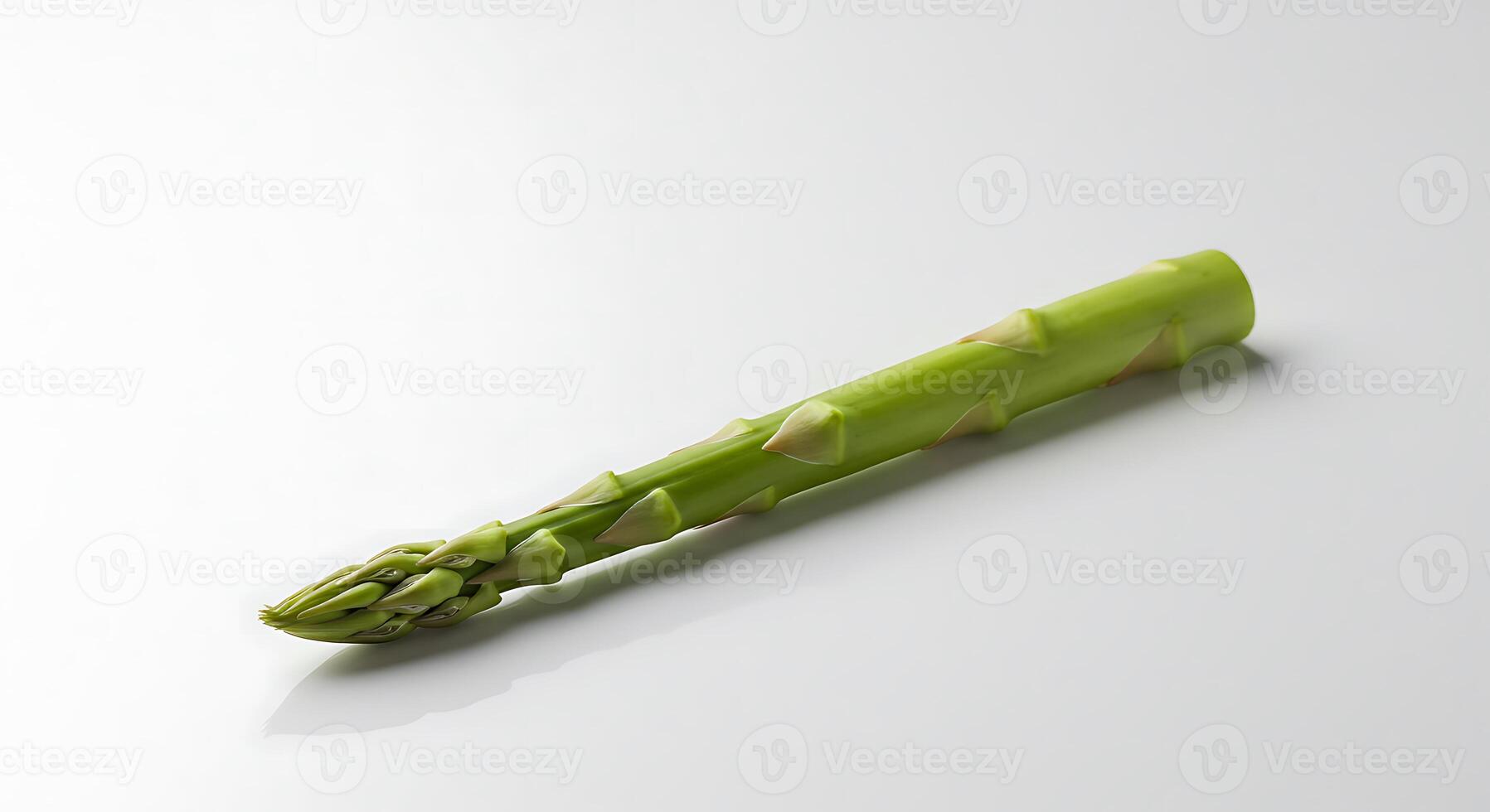 Single Spear of Fresh Green Asparagus on a White Surface photo