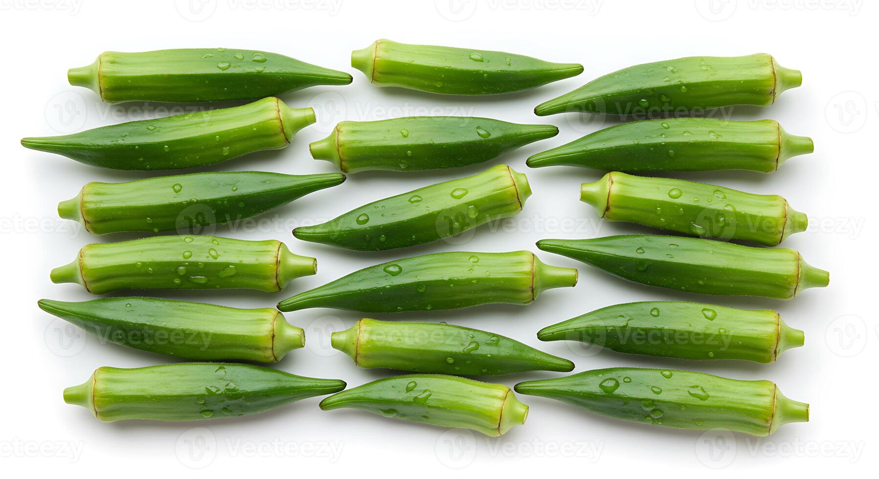 Okra Pods Freshly Harvested Laid Out on White Background photo