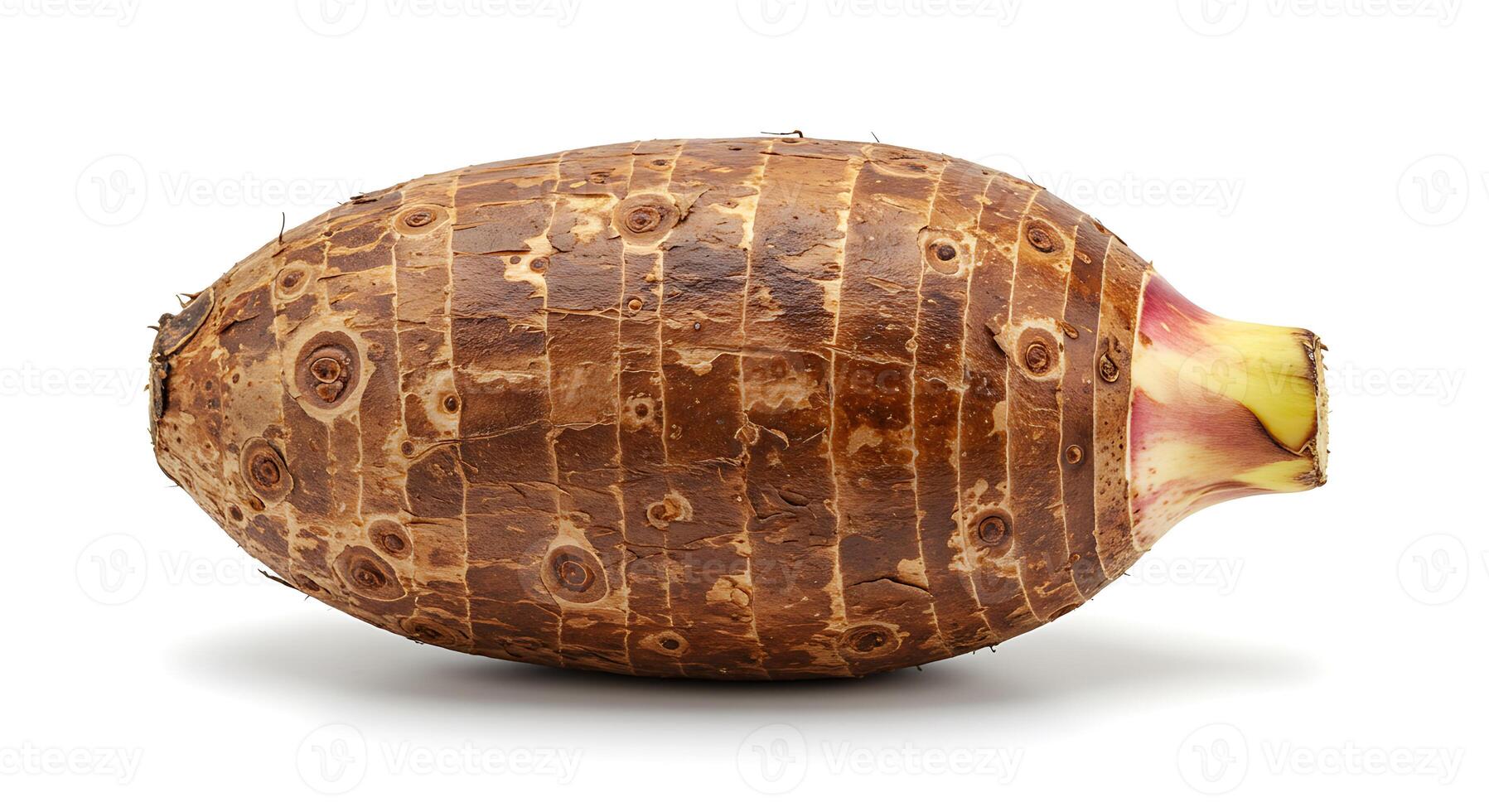 Single Taro Root Close Up with Brown Texture on White Background photo