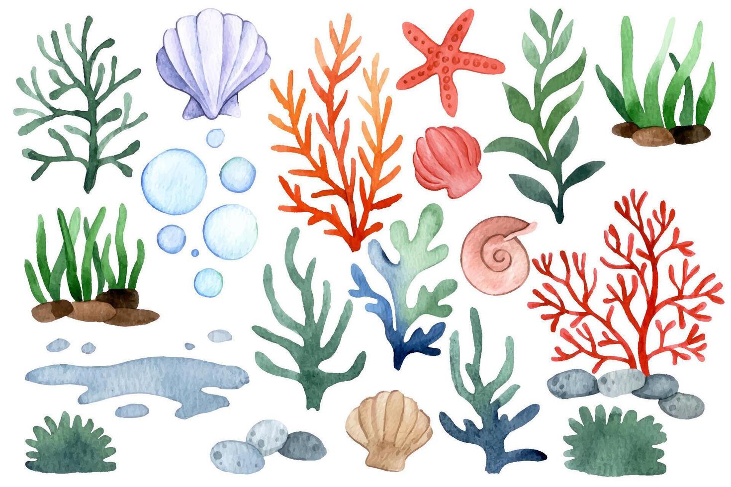 Watercolor illustration. Sea elements Starfish, shells, corals, algae and bubbles vector