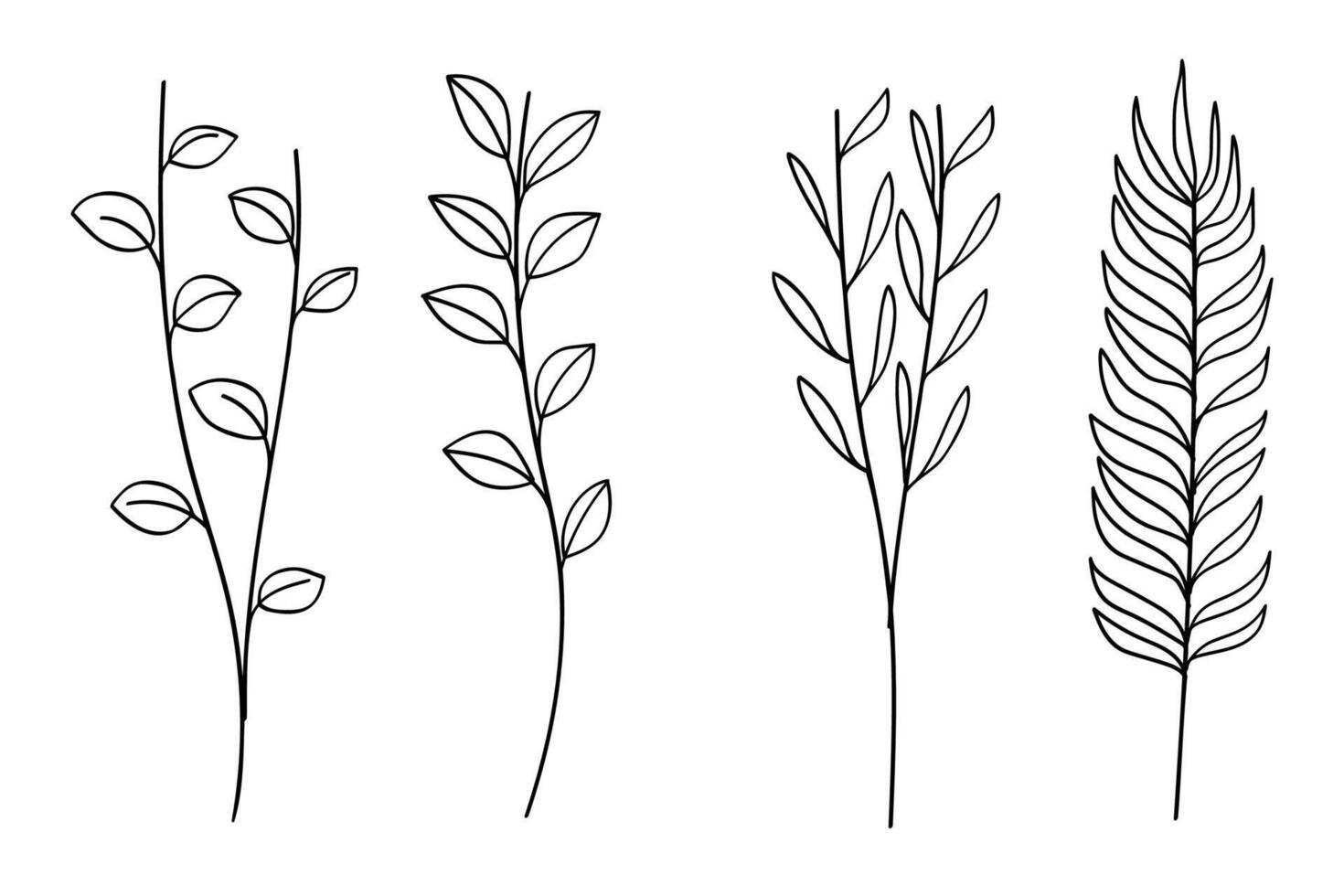 Twigs with leaves hand drawn botanical set. vector