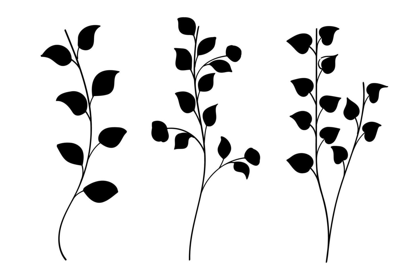 Silhouette Leaves branch and floral plants element collection. illustration vector