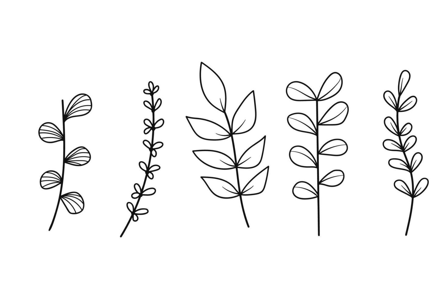 Twigs with leaves hand drawn botanical collection. vector