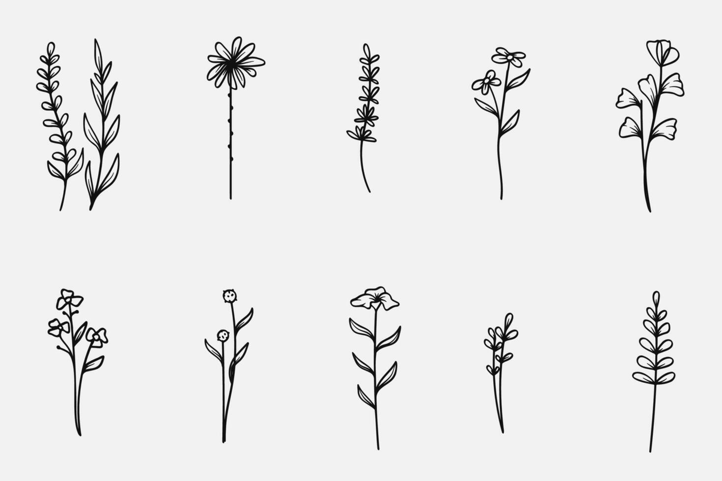 Hand-drawn botanical and flowers line art collection. vector