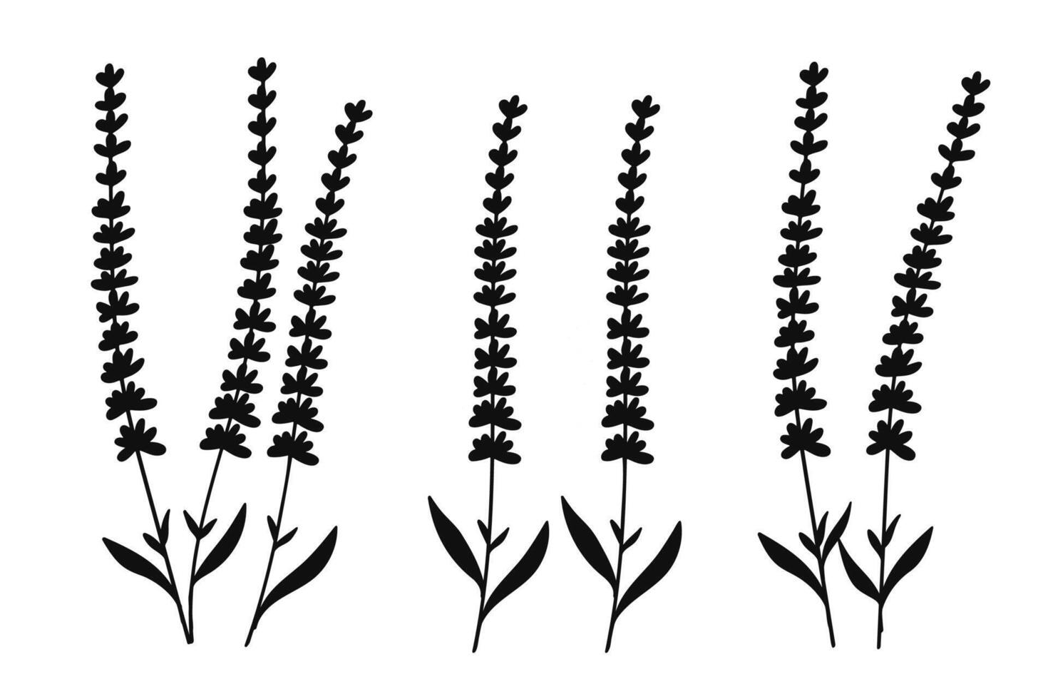 Silhouette Lavender Floral Collection. Illustration. vector