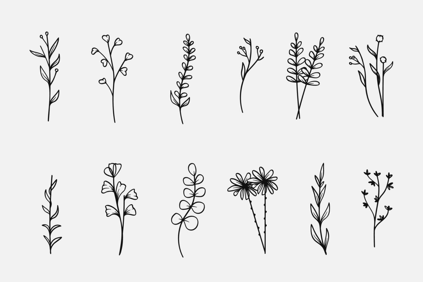 Hand-drawn botanical and flowers line art collection. illustration. vector