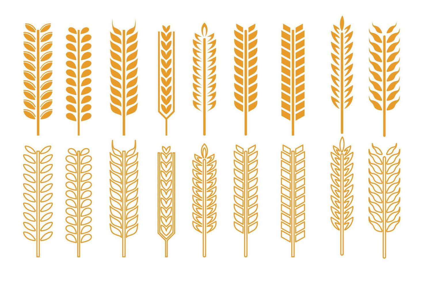 Yellow wheat icons outline and glyph collection. illustration. vector
