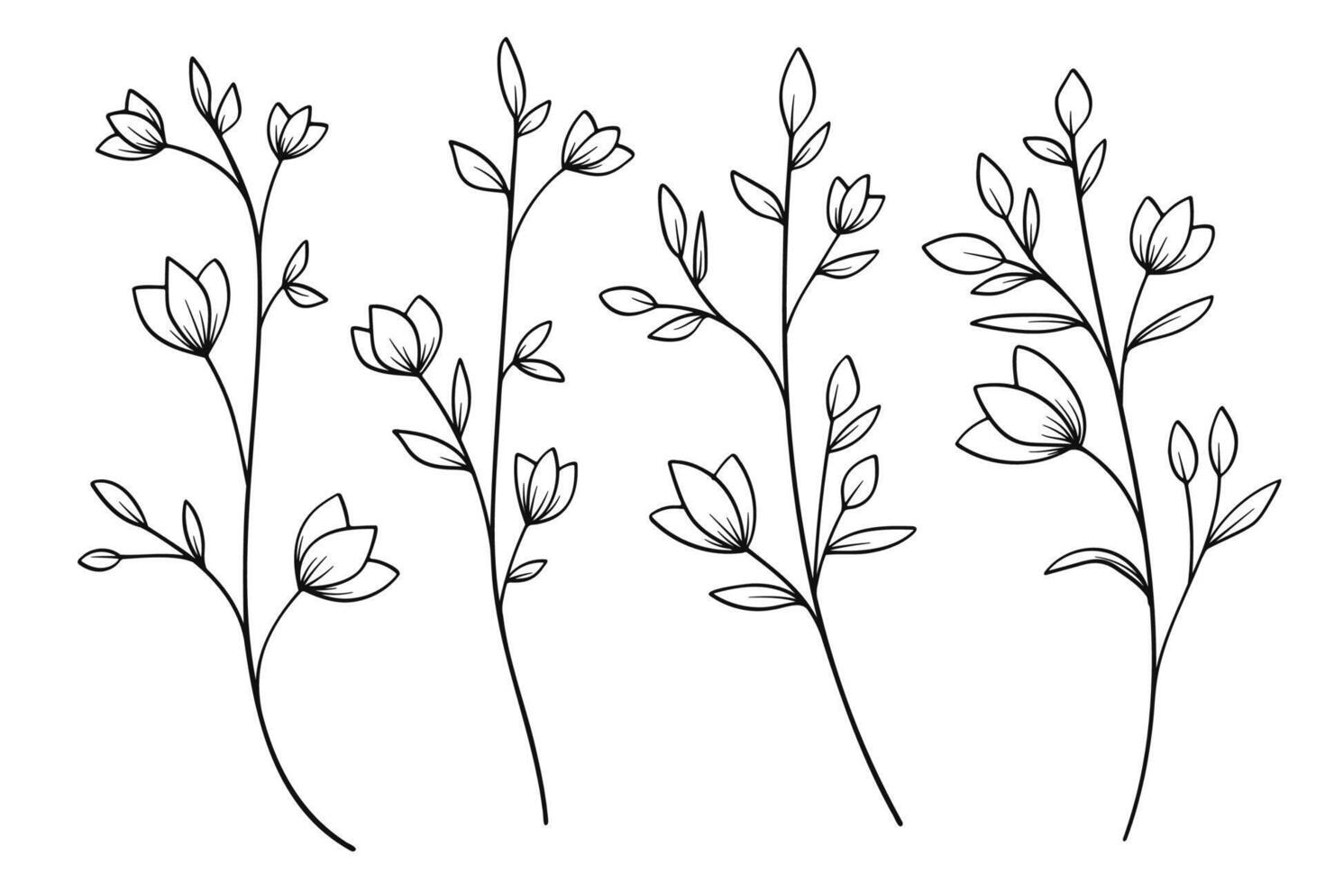 Twigs with Leaves in a Botanical Collection. illustration vector