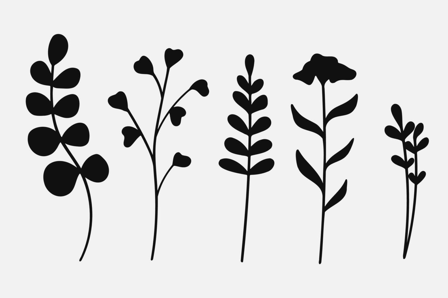 Silhouette Leaves branch and floral plants element collection. illustration. vector