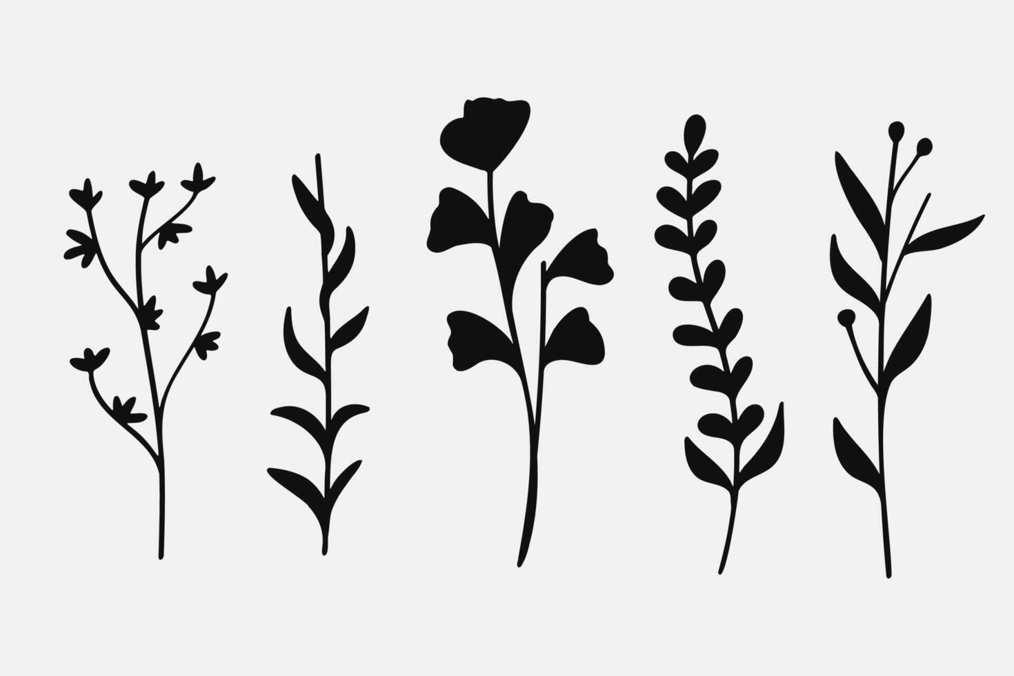 Silhouette Leaves branch and floral plants element set. illustration vector