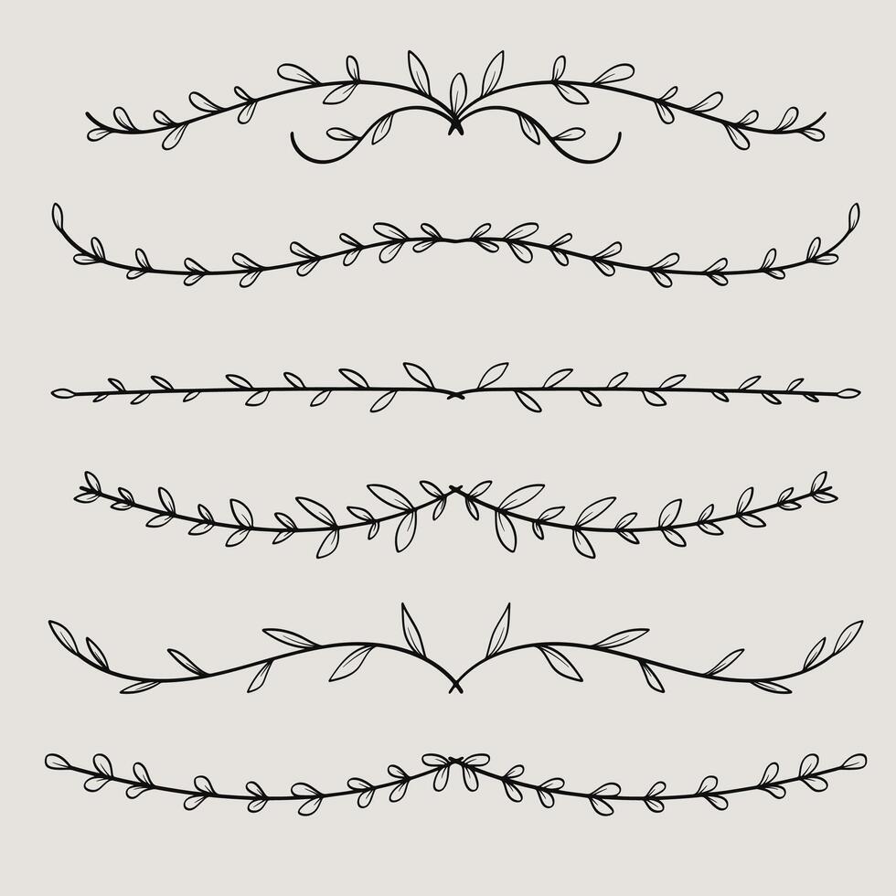 Hand Drawn Nature Floral Vine Line Divider for Text Layout Separator Decoration Element Collection vector