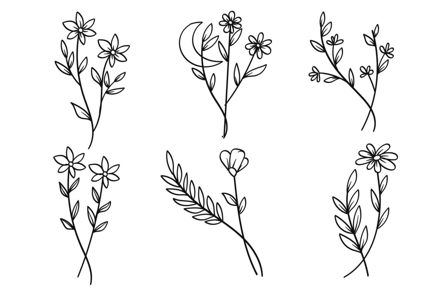 Hand-drawn botanical leaves line collection. illustration. vector