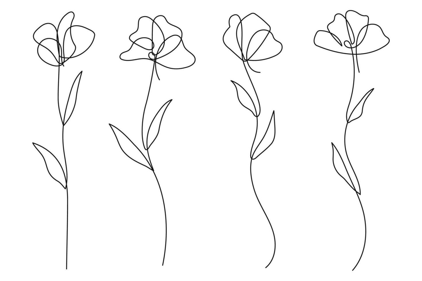 One continuous line art flowers botanical collection. illustration. vector