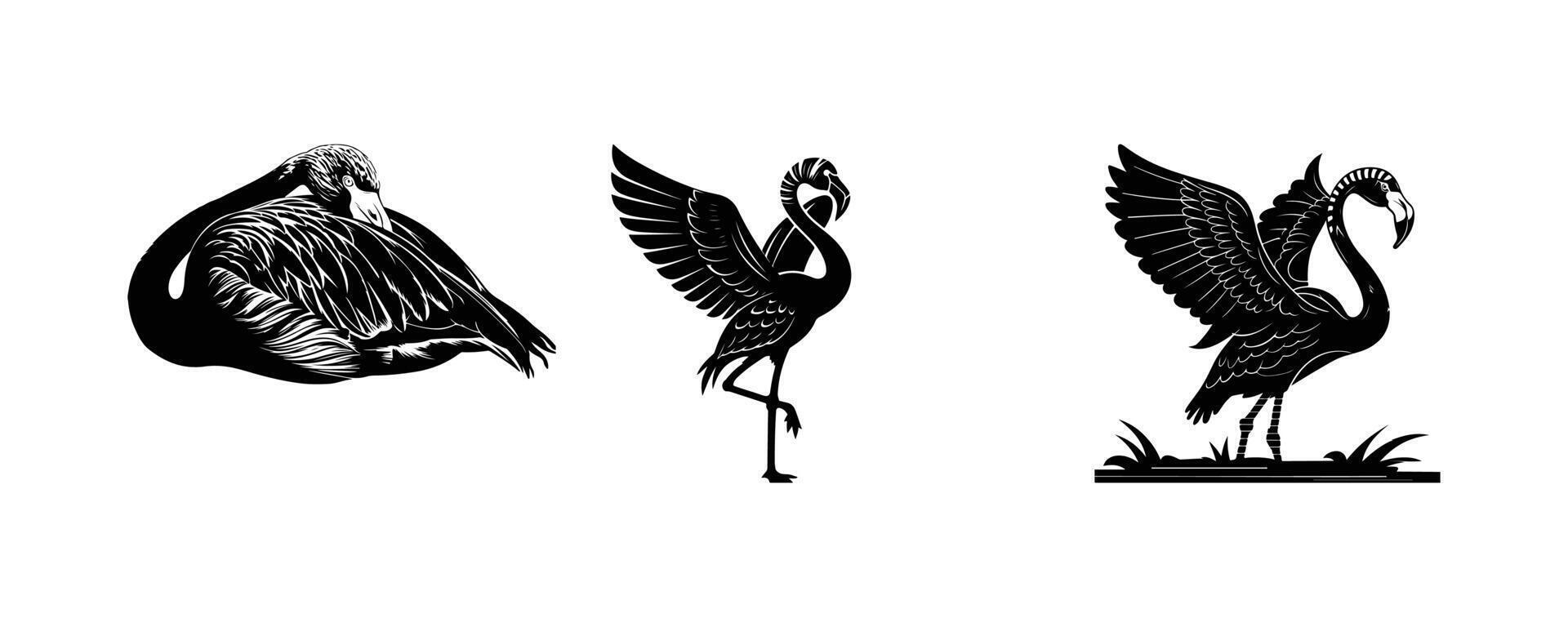 Standing Flamingo Exotic Bird Silhouette vector