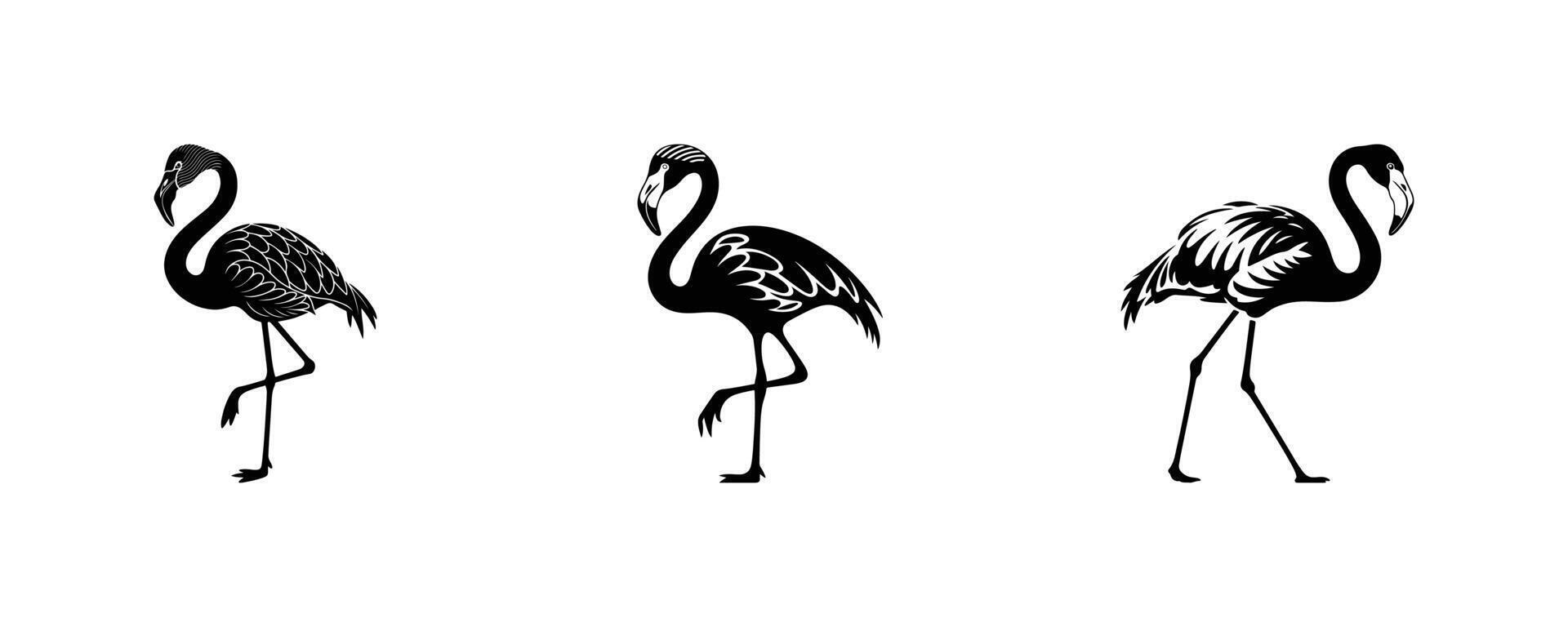 Flamingo Silhouette Set Elegant Tropical vector