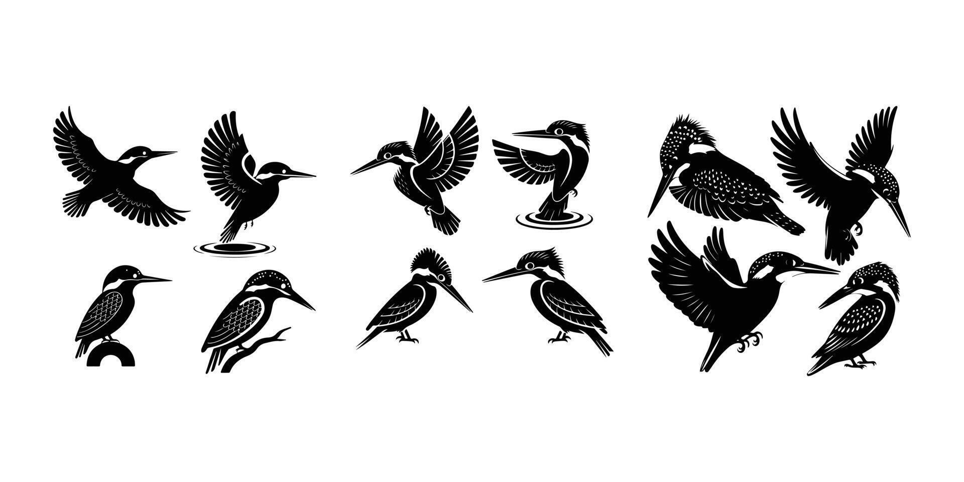 Kingfisher Silhouette Set Bird Outline vector