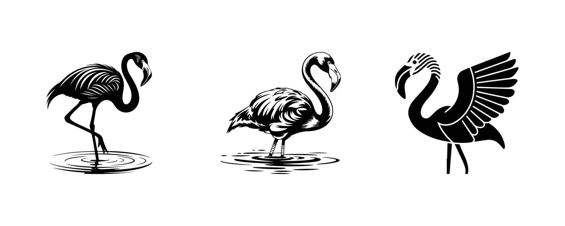 Flamingo Silhouette Set vector