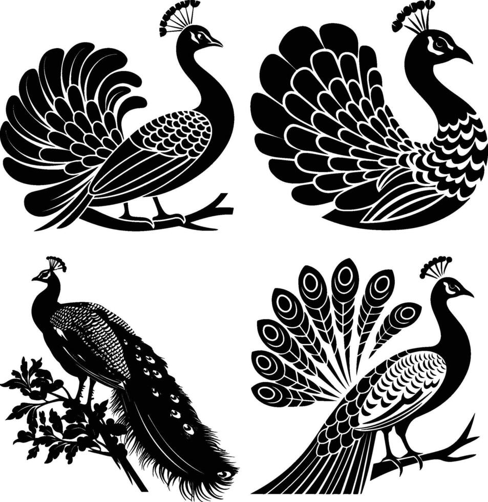Peacock Silhouette Colorful Bird Outline vector