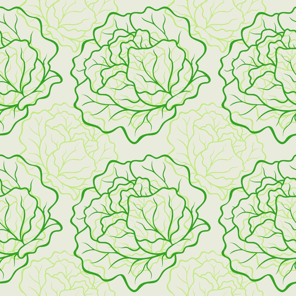 Heads of green salad lettuce pattern, contour graphic fruit. Healthy food. Eco products. Green vegetables. vector