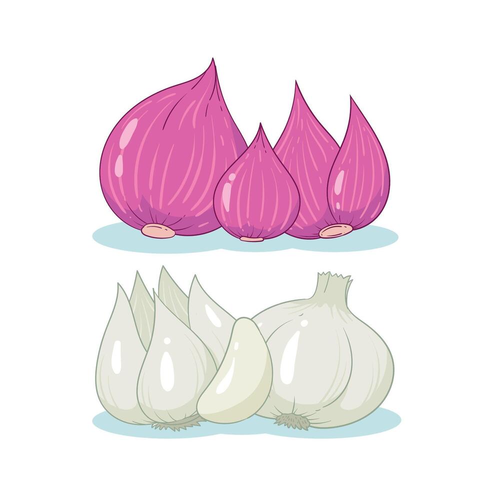 illustration of shallots and garlic vector