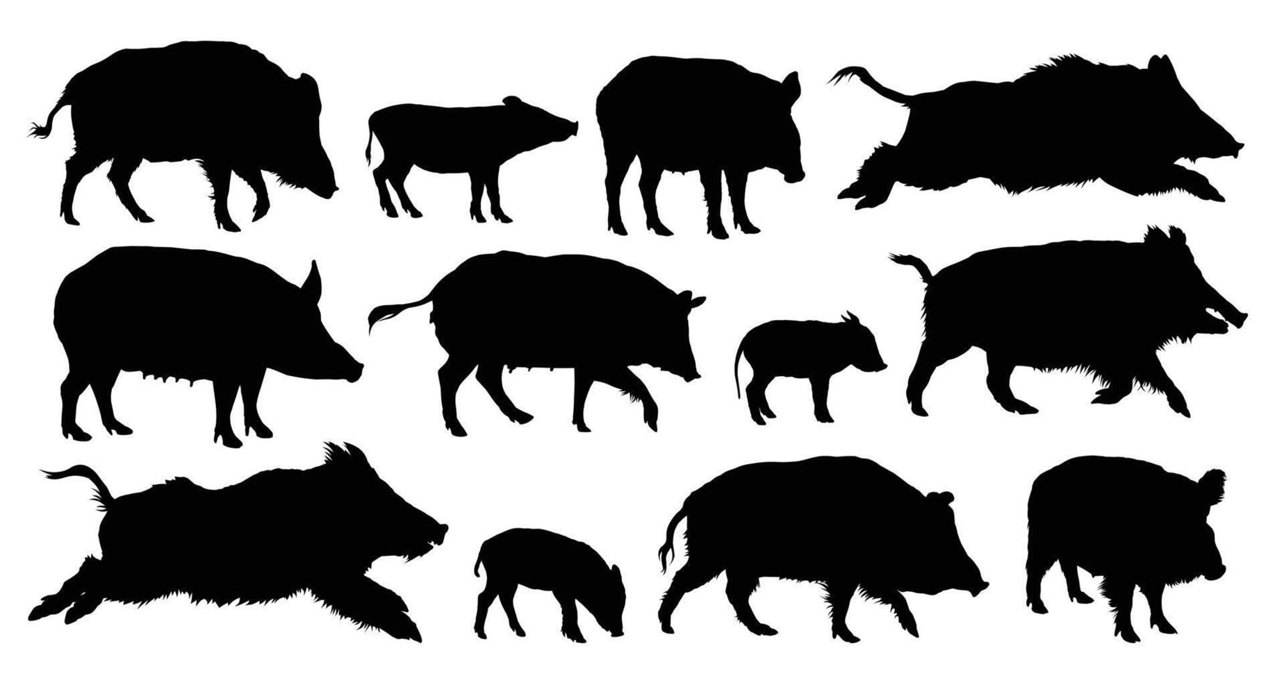 The set of silhouettes of wild boars. vector