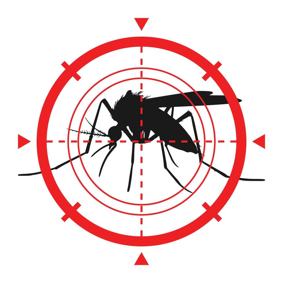 Target Focus on Flying Mosquito vector