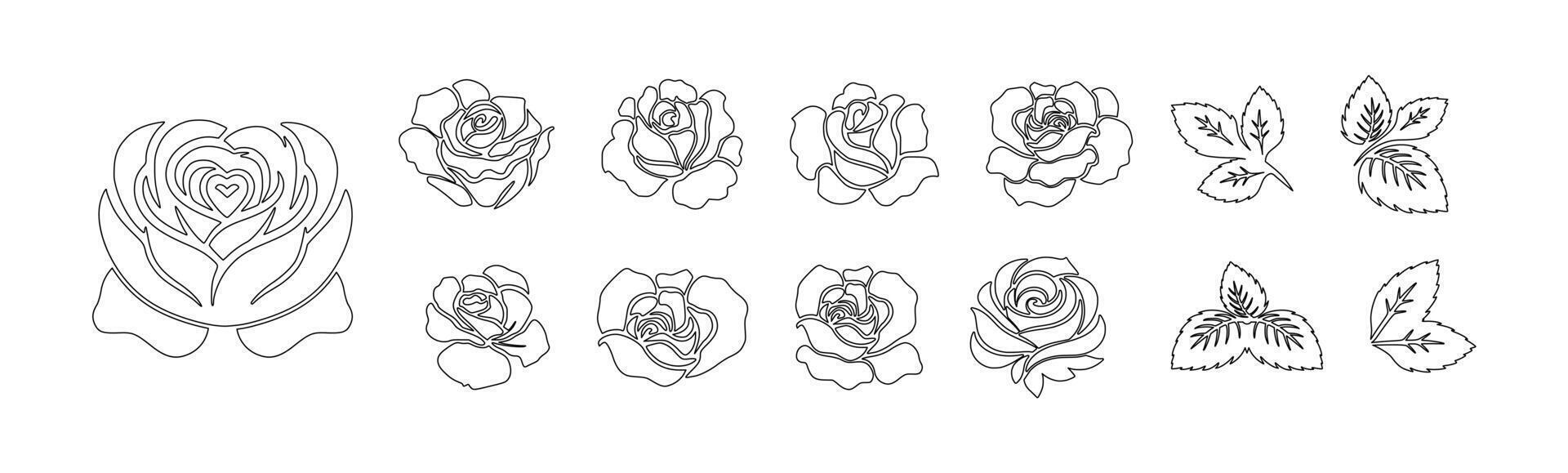 Outline style rose illustration featuring elegant floral line art vector