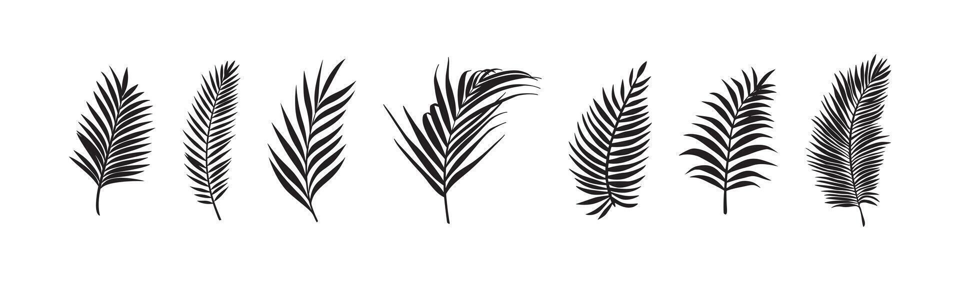 Single palm leaf illustration in minimal flat tropical green style vector