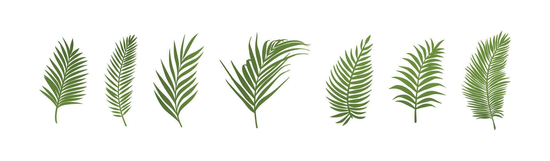 Single green palm leaf illustration in flat tropical nature style vector