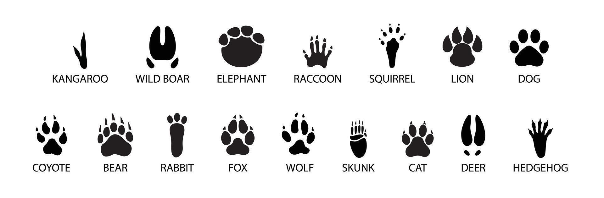 Set of wild wood animal tracks in format vector