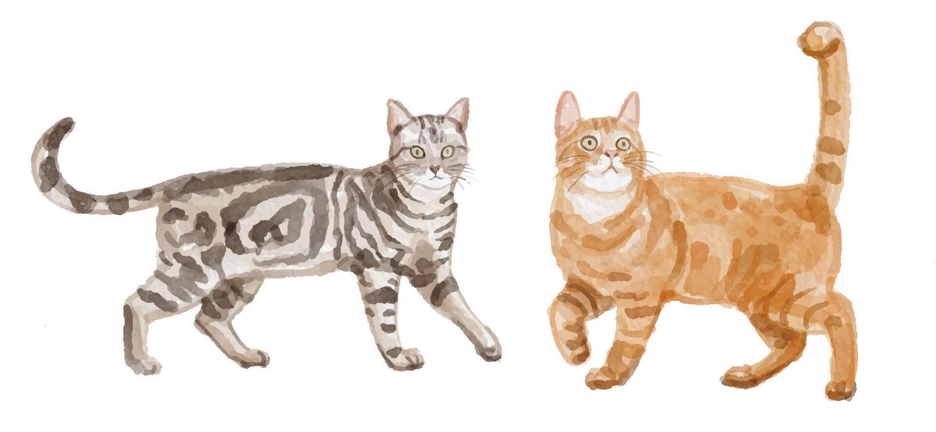 Watercolor set of cat for logo, invitations and more vector