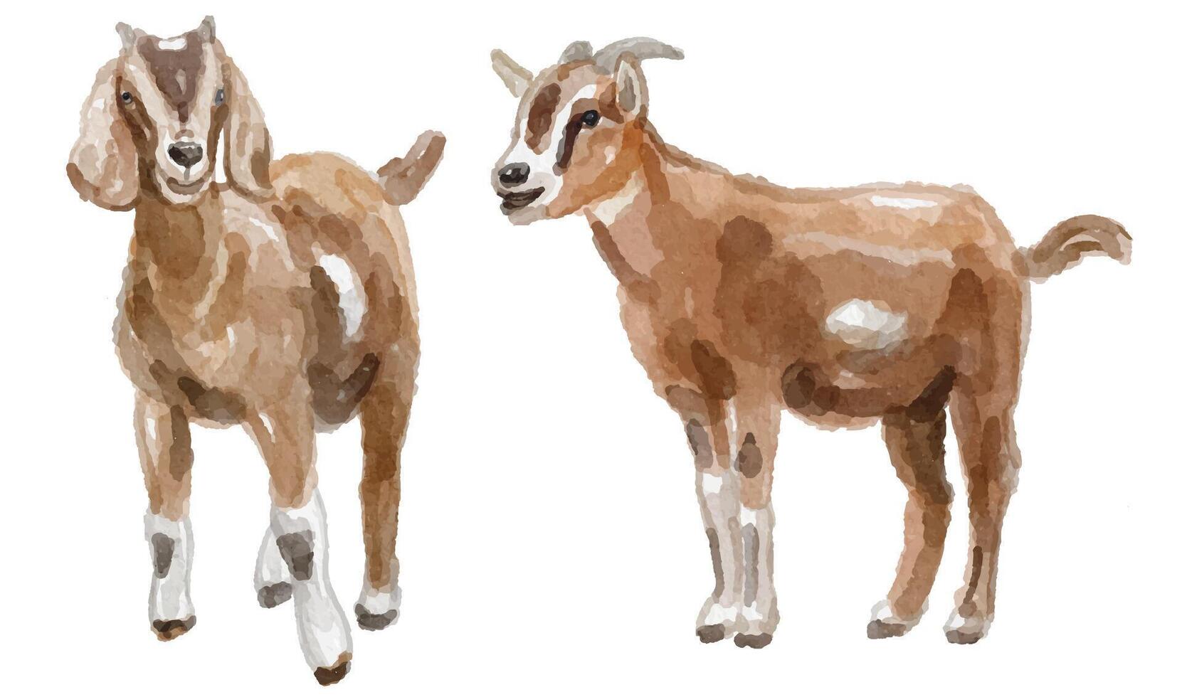 Watercolor set of goat for logo, invitations and more vector