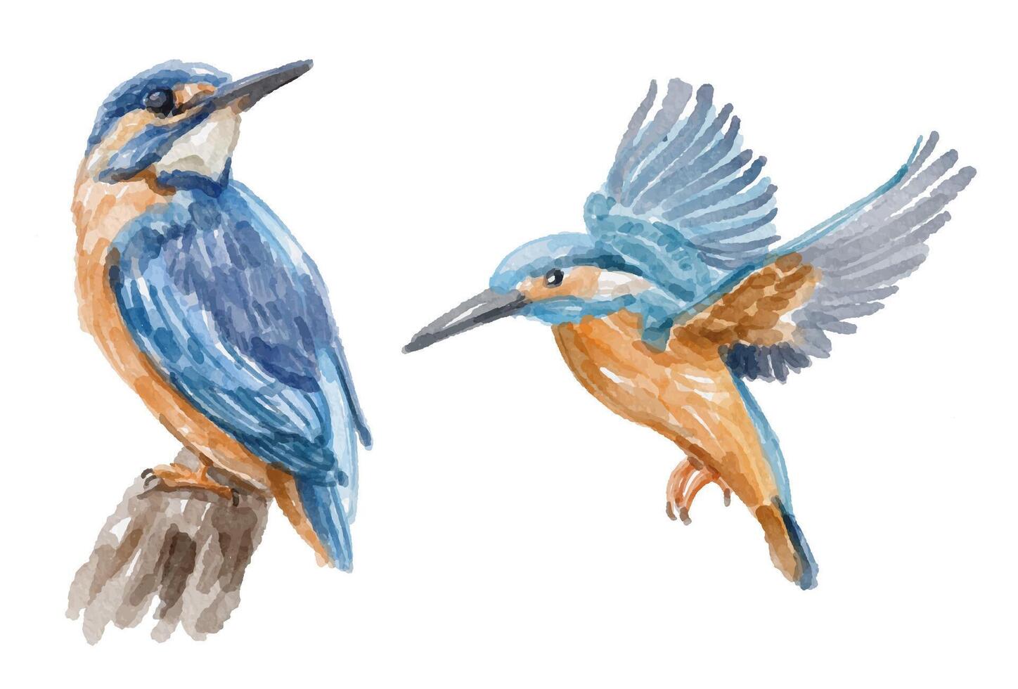 Watercolor set of kingfisher bird for logo, invitations and more vector