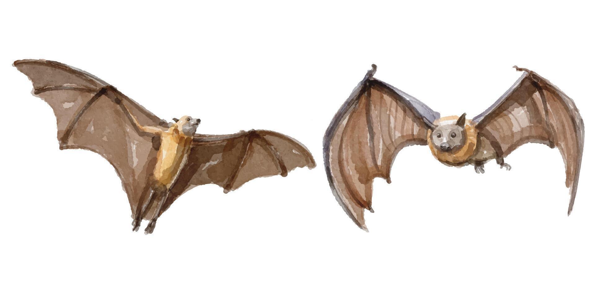 Watercolor set of bat for logo, invitations and more vector