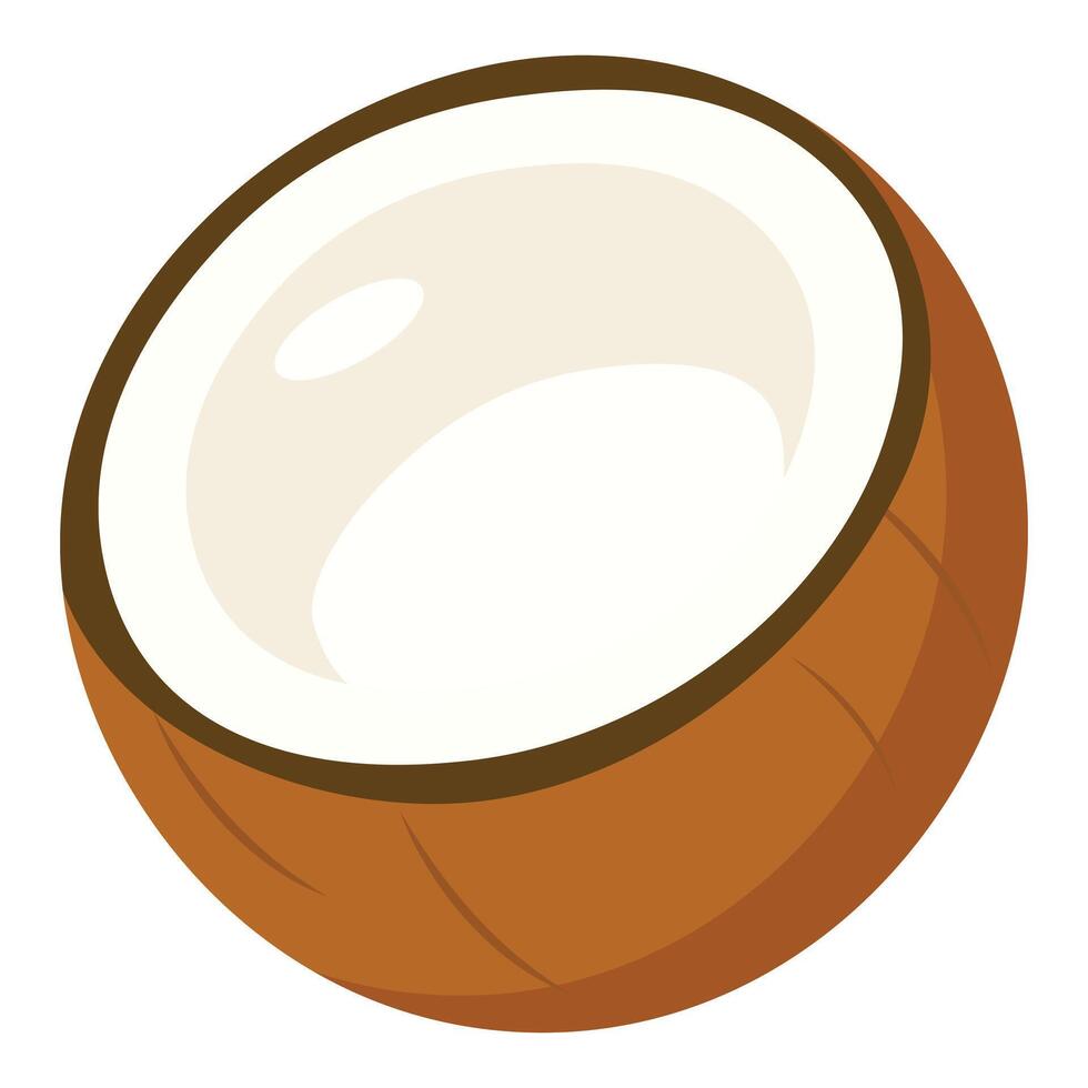 Half coconut with white flesh and brown shell ideal for tropical recipes, packaging design, organic product ads, summer visuals and healthy food promotion vector