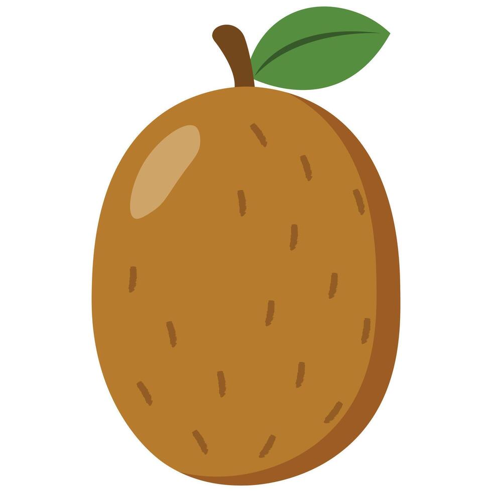 Whole ripe kiwi with green leaf, isolated flat illustration, great for tropical packaging, food design, diet promotions and healthy lifestyle visuals vector