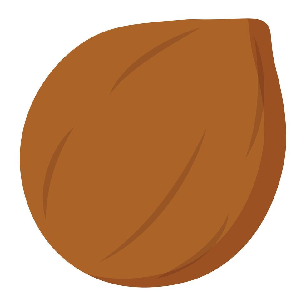 Whole coconut shell in simple flat design perfect for tropical themes, food packaging, eco branding, exotic recipes and summer-related visuals vector