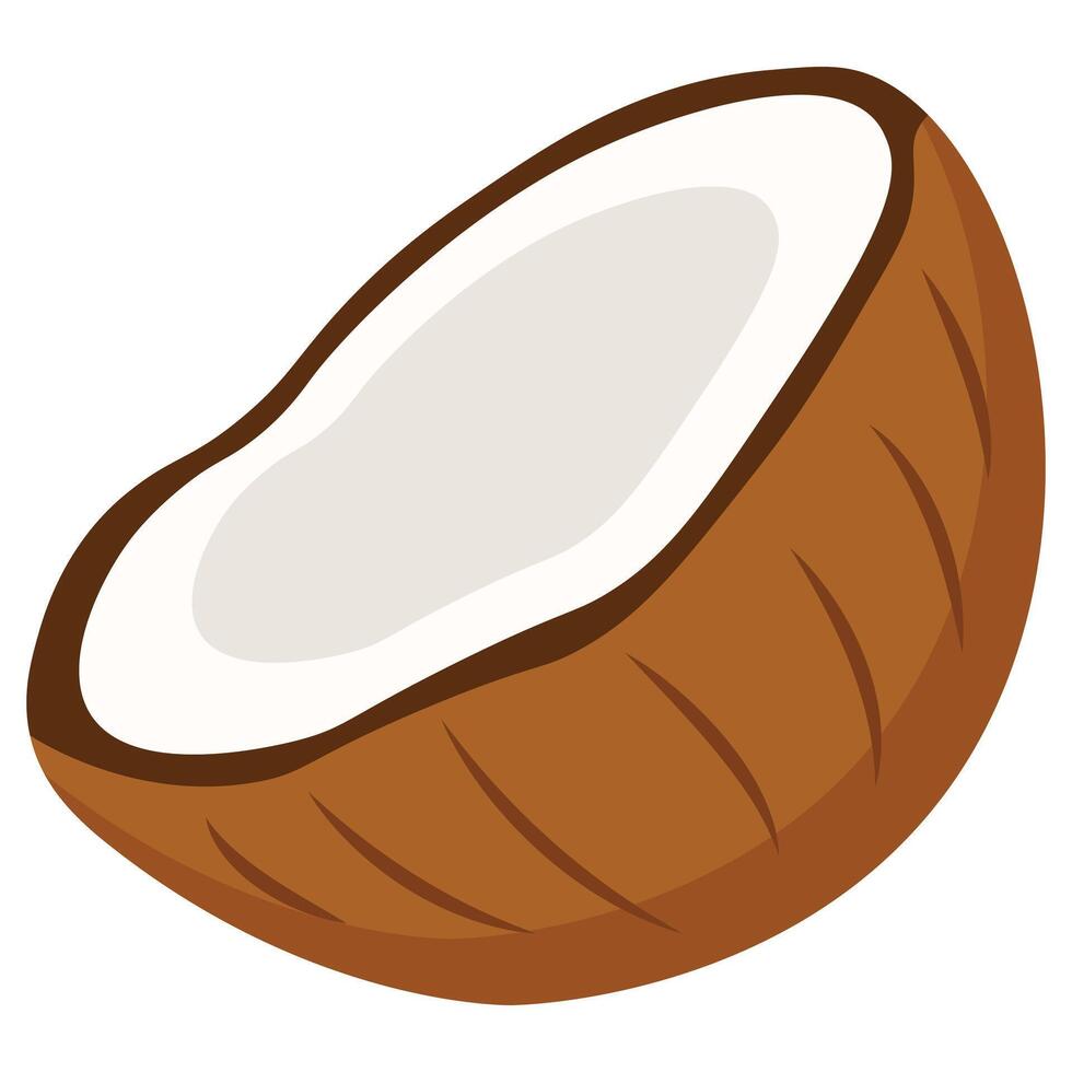 Half coconut with white pulp and brown textured shell perfect for tropical designs, healthy food visuals, and natural product packaging vector