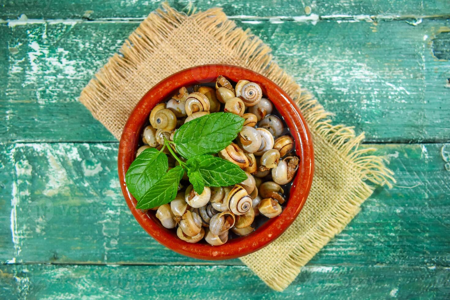 Sevillian snails Isolated photo