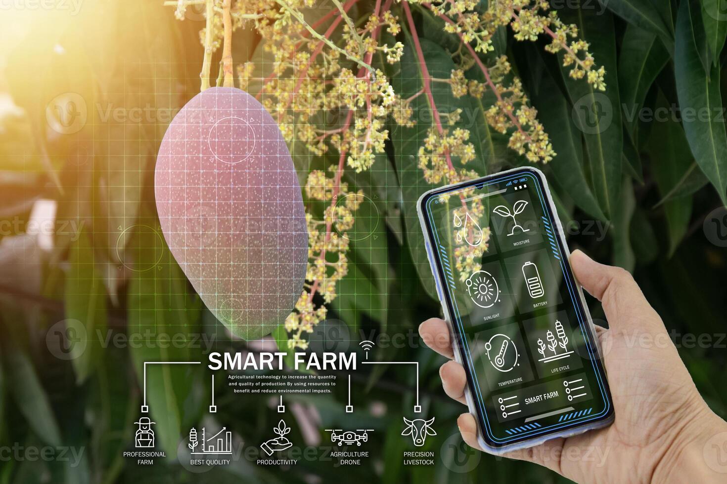 The concept of precision agriculture, smart agriculture photo