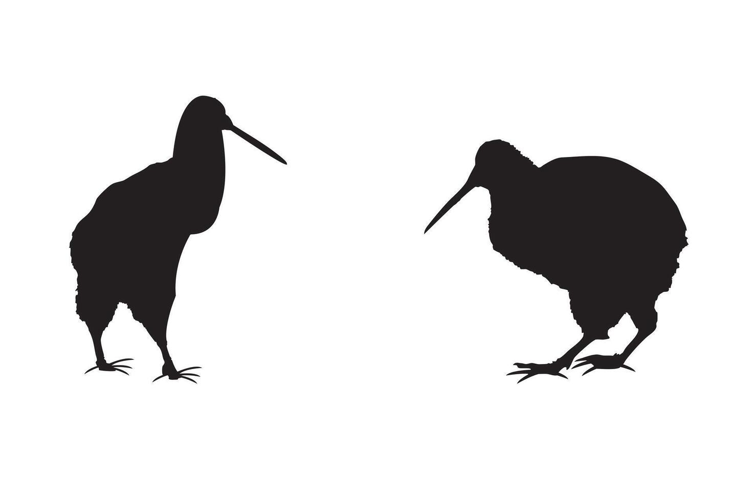 Two black silhouettes of kiwi birds on a white background vector