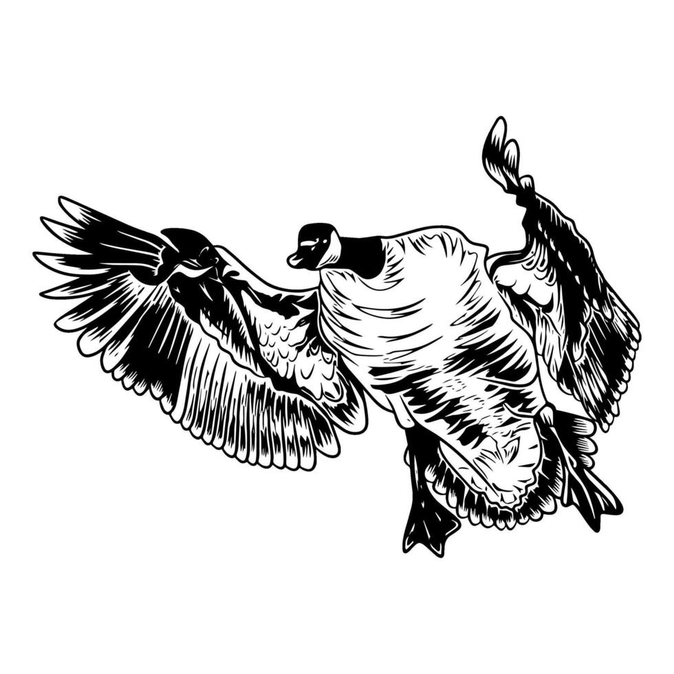 canadian goose why wings looking forward black white duck hunting illustration logo image vector