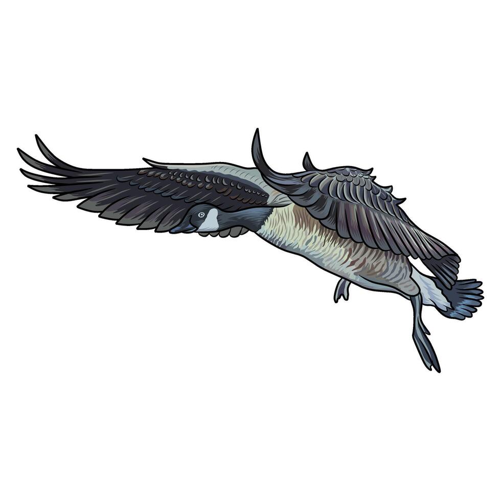 canadian goose seen from the side duck hunting illustration logo image vector