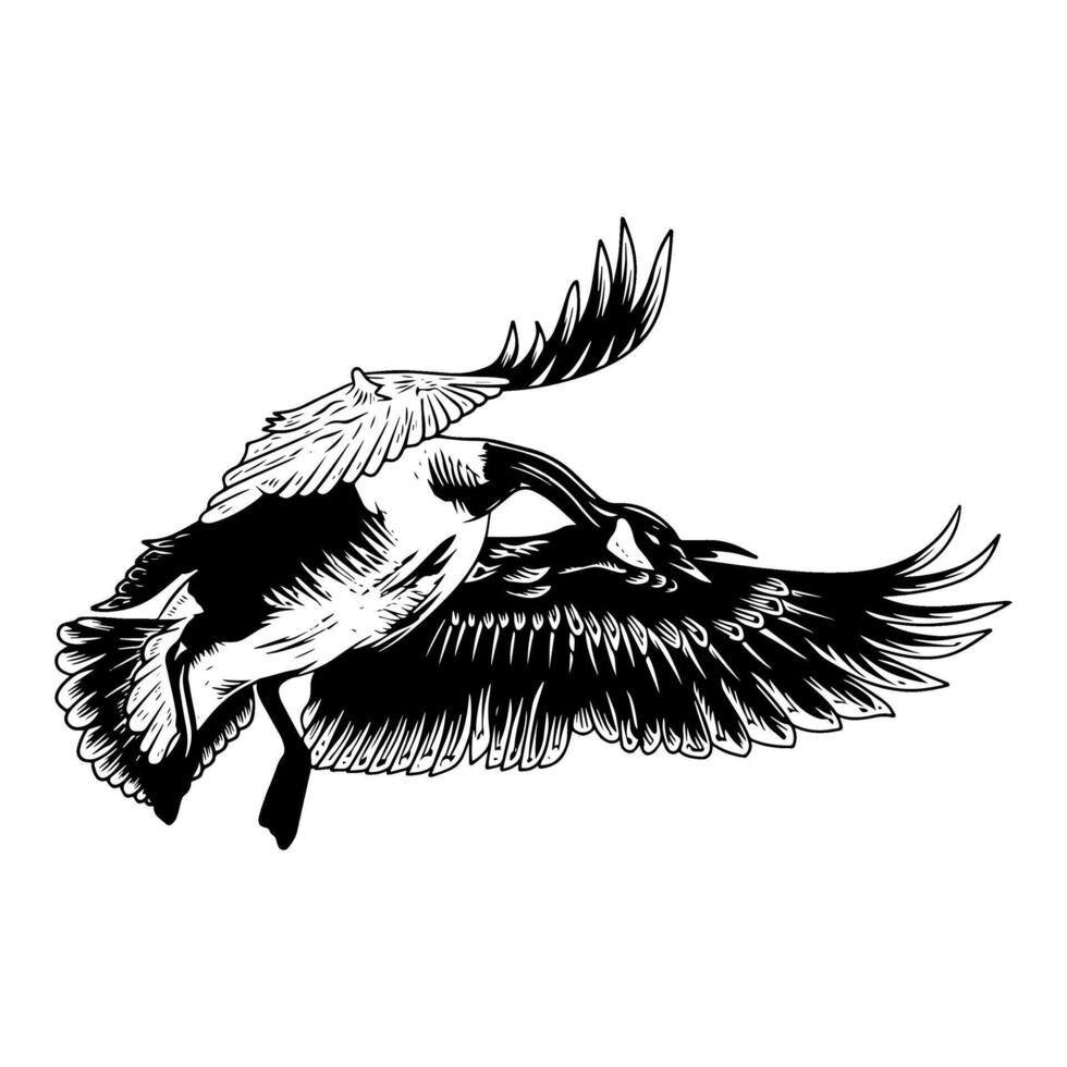 canadian goose why wings looking down black white duck hunting illustration logo image vector