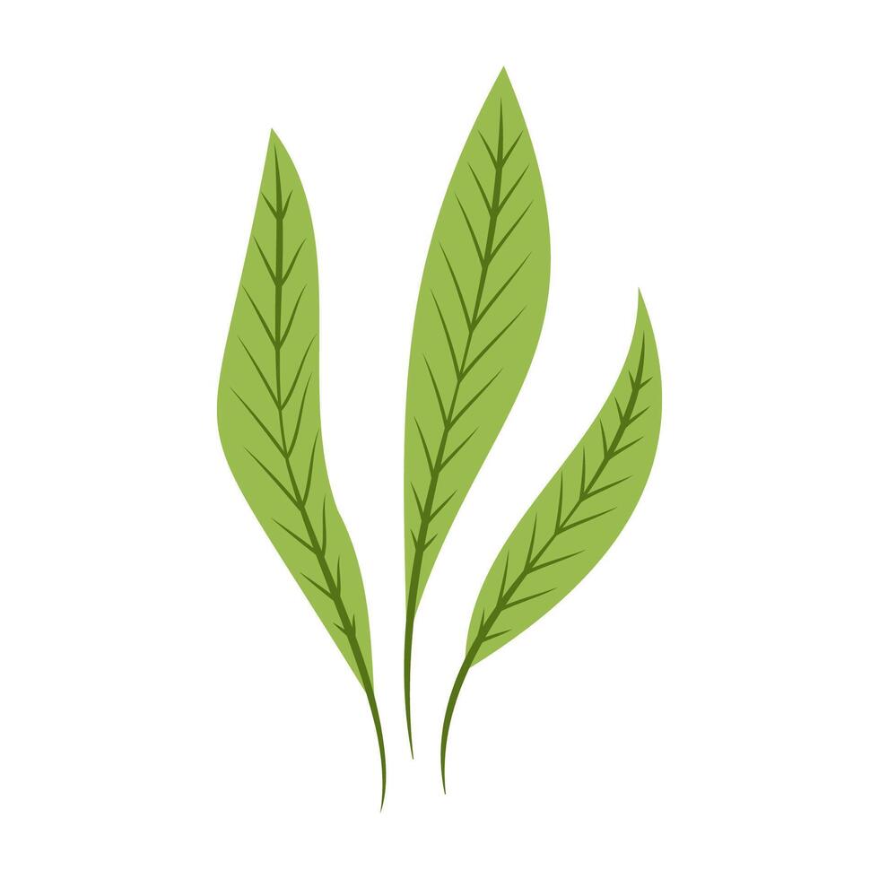 Underwater Plants and Seashells Sea Illustration. vector