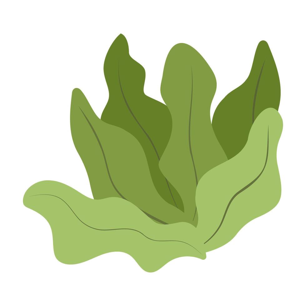 Underwater Plants and Seashells Flat Illustration. vector