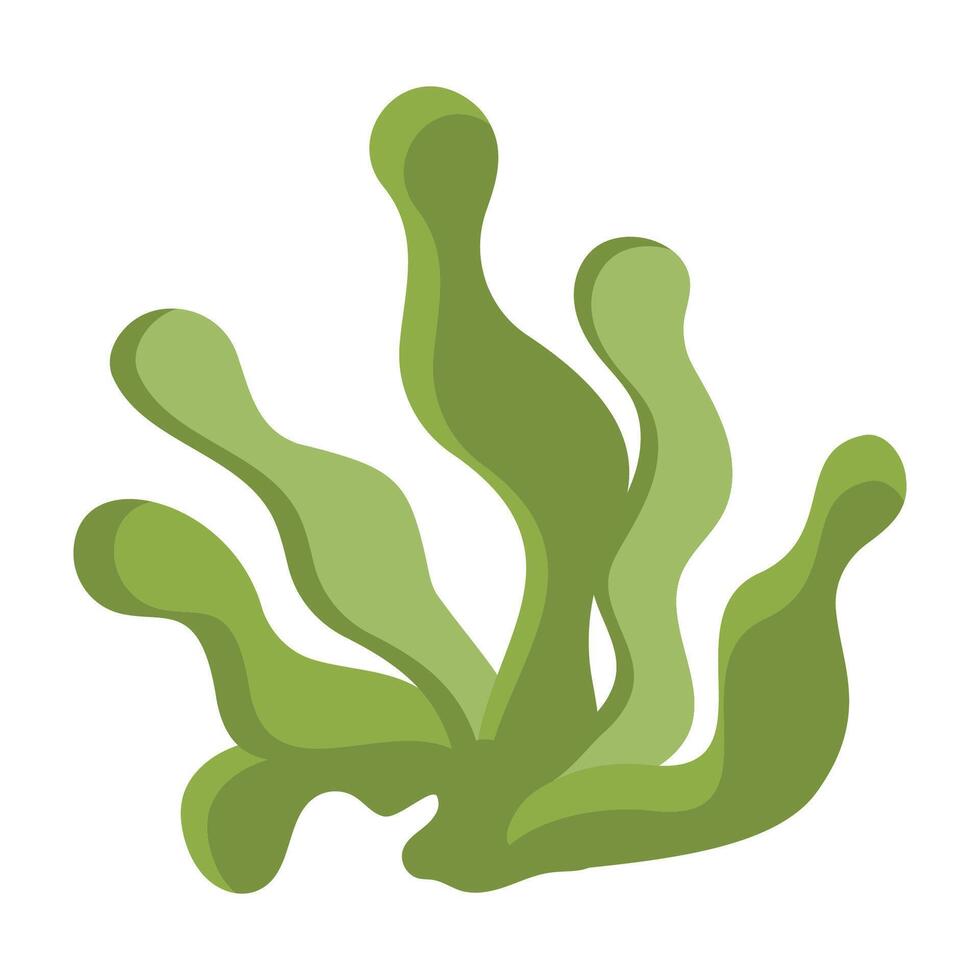 Underwater Plants and Seashells Season Illustration vector